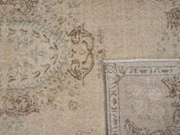 8169 view 10