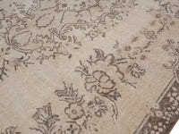 8203 view 5