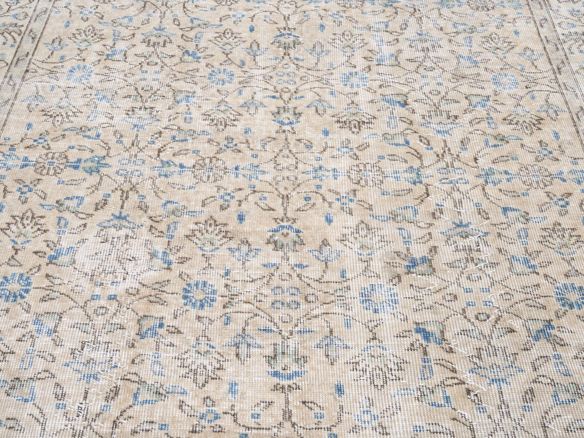 8733, Turkish Isparta Area Rug