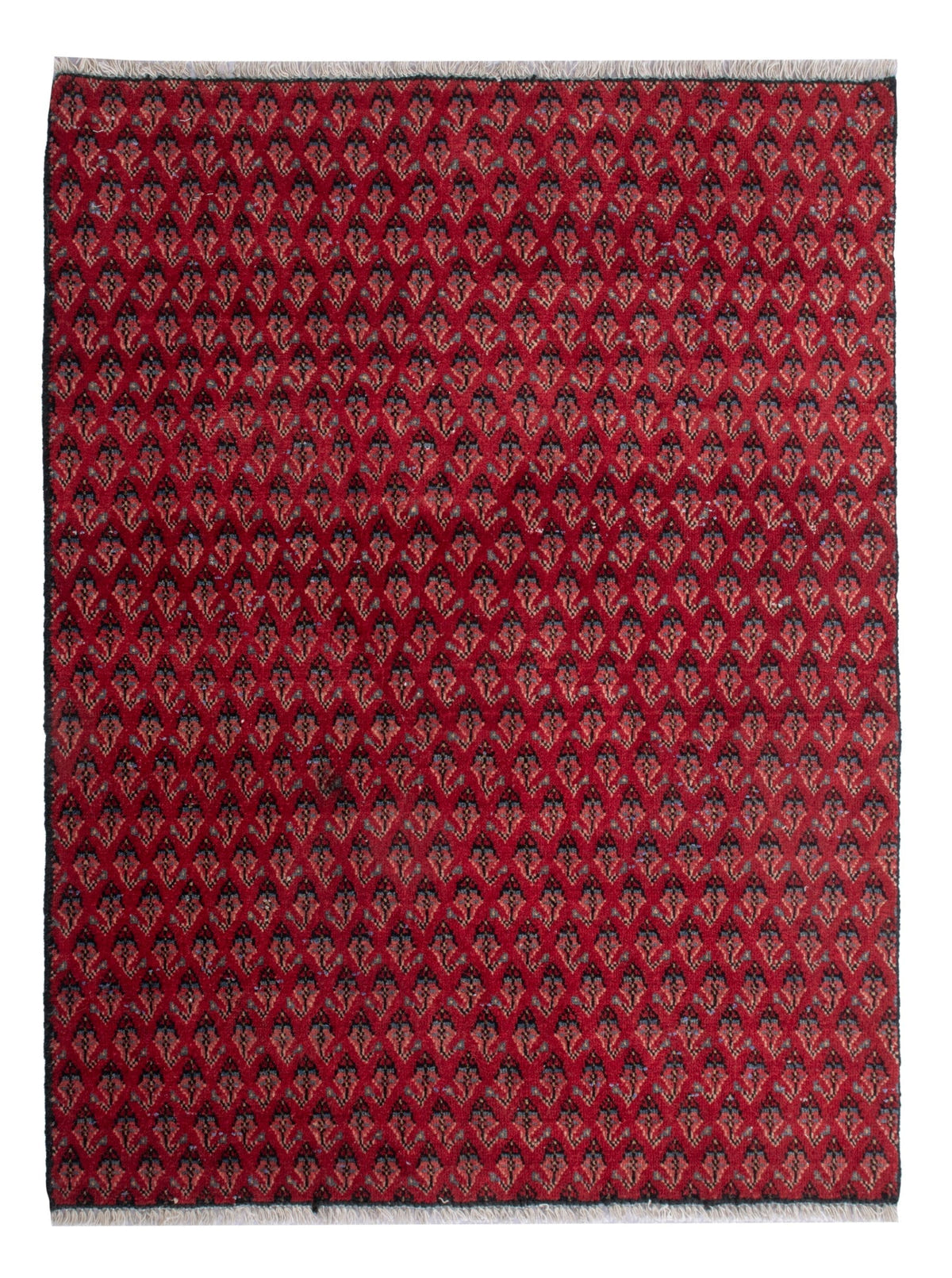 4810, Persian Botteh Mini Rug