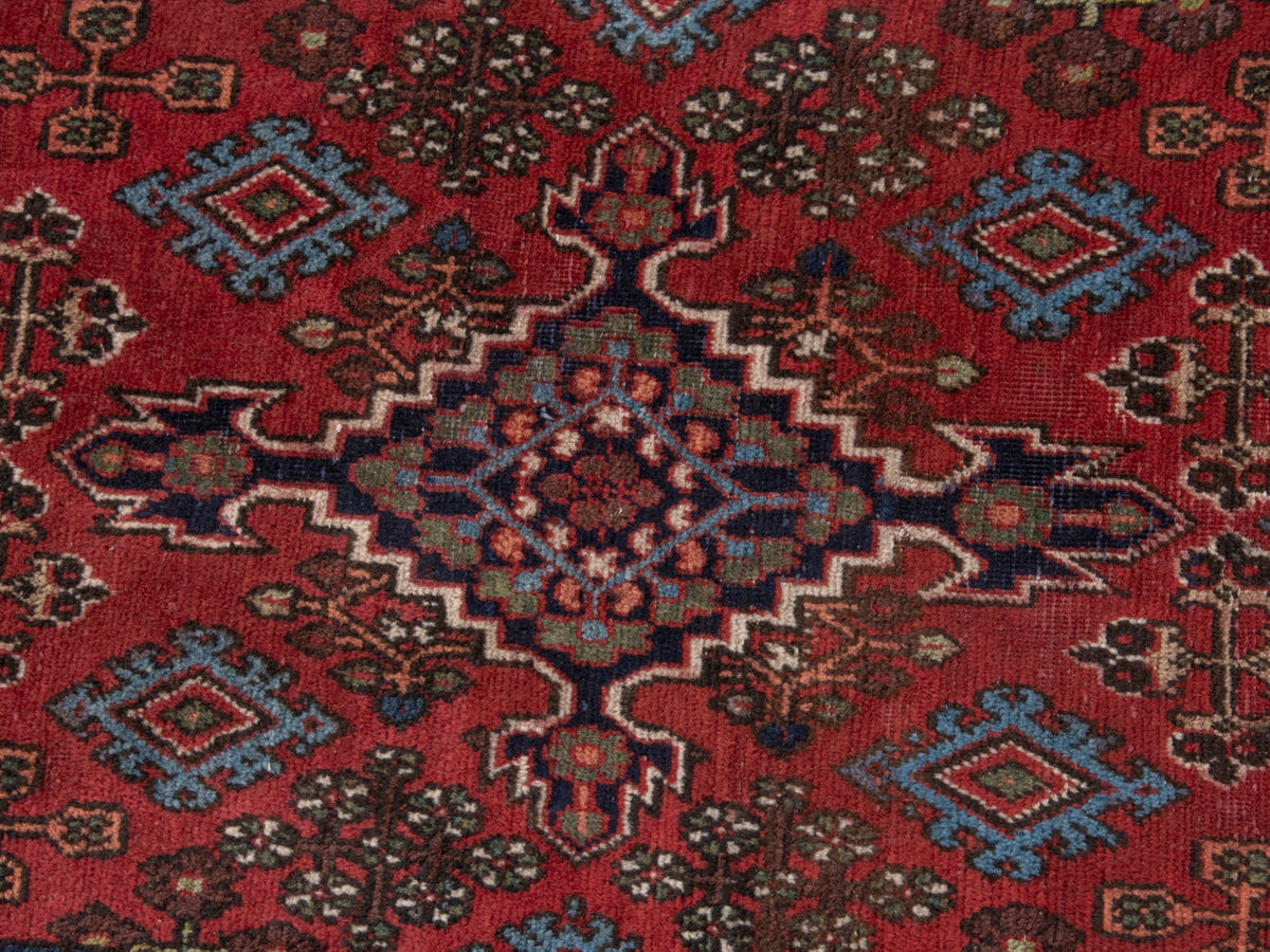 4877, Persian Joshaghan Area Rug