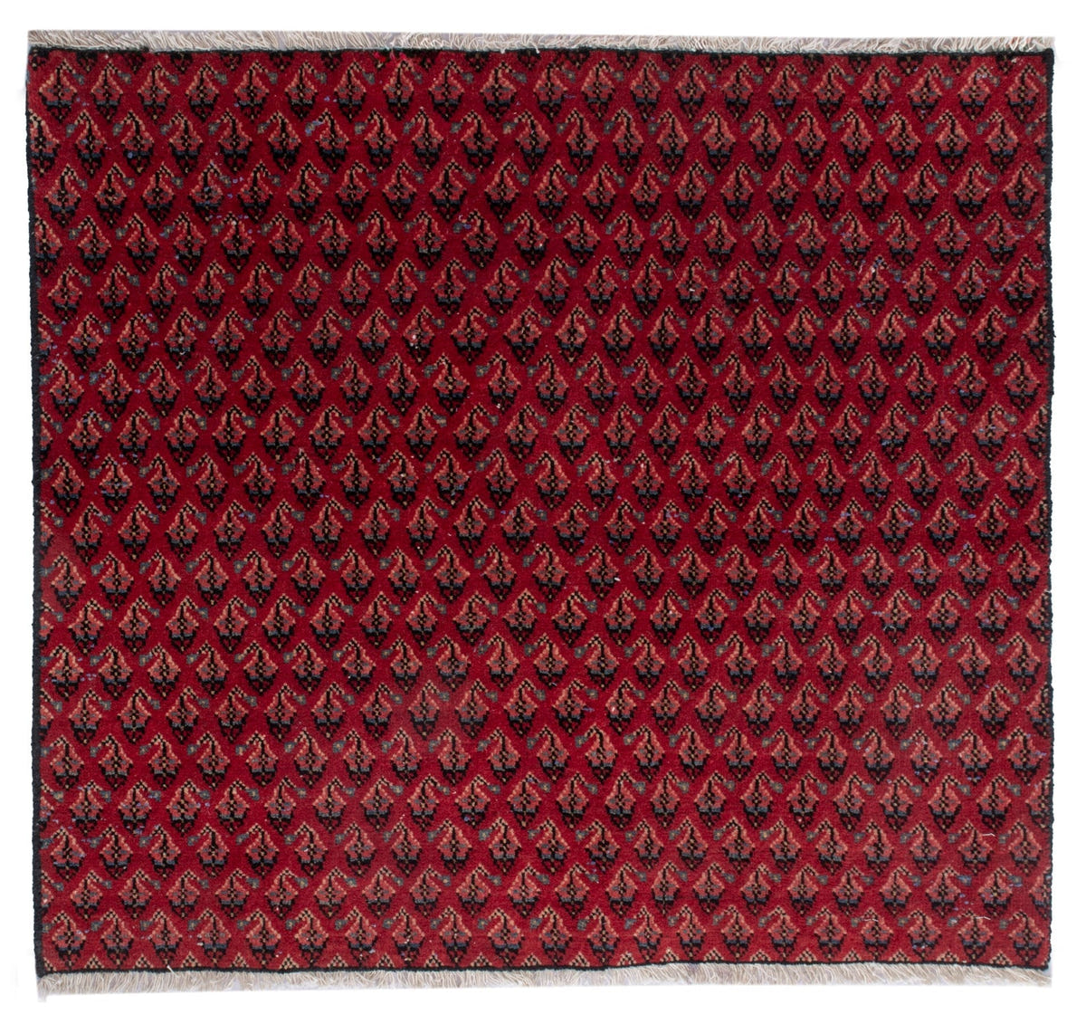 4890, Persian Arak Mini Rug