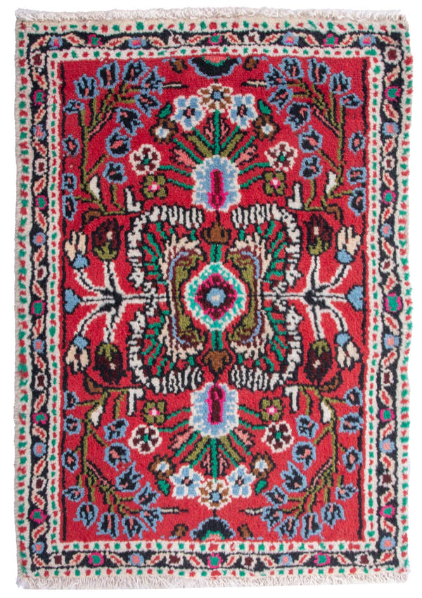4889, Persian Hamadan Mini Rug