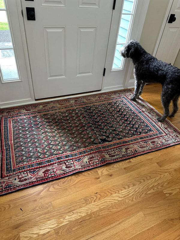 A customer's vintage rug at home